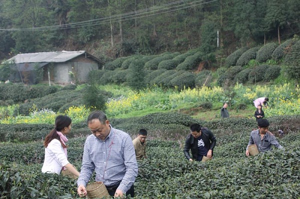 ů ׽Ȼ˼칫˾2015괺