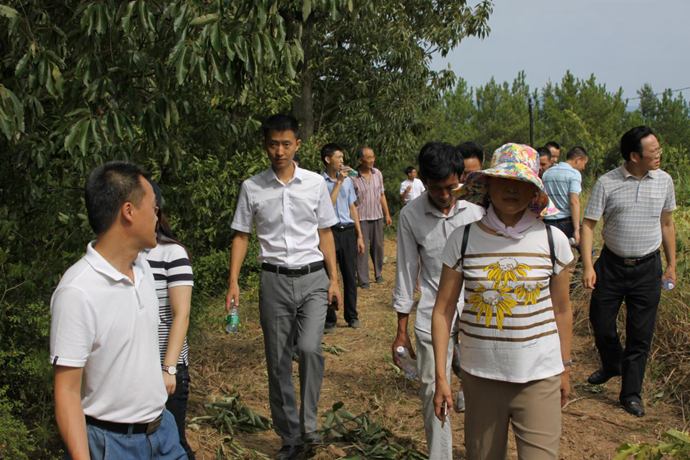 뾫׼ƶ ҵƸ衪쵼в롰פĿ