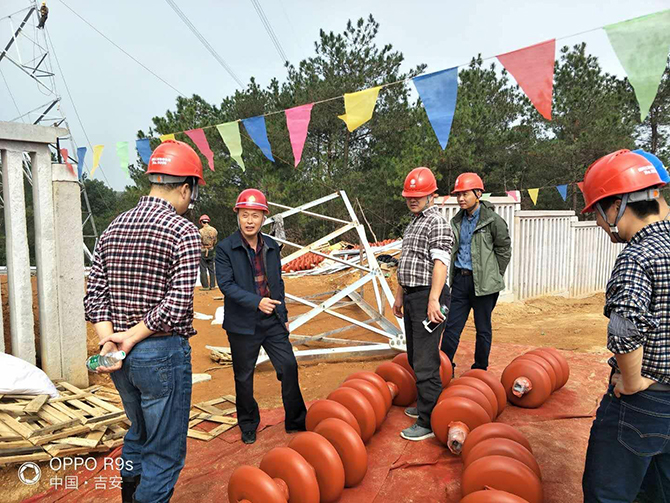 ʡ޹˾쵼500kVĸIII߿ӿרǨĹָ̼