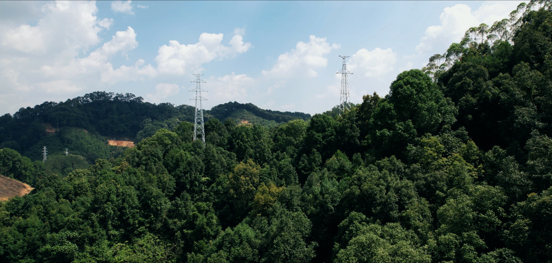 青年力量 | 李贵平:自我革新的力量