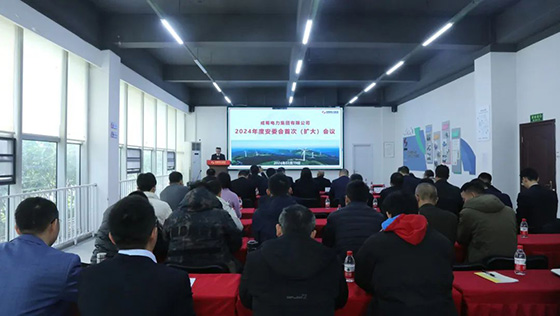 金年会电力集团召开2024年度安委会首次(扩大)会议