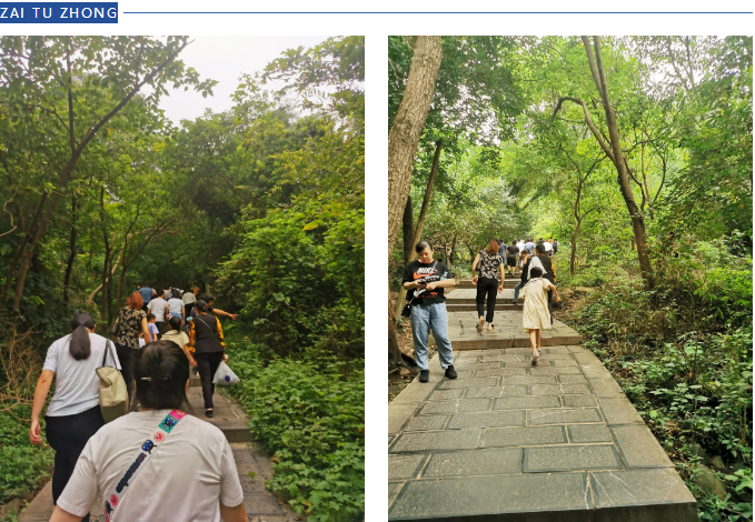 【动态】认真工作,快乐生活——金年会科技六周年登山活动圆满落幕 【动态】认真工作,快乐生活——金年会科技六周年登山活动圆满落幕