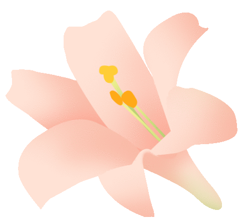 【动态】春日有约 遇见“莓”好—— 安徽金年会女神节采摘活动 【动态】春日有约 遇见“莓”好—— 安徽金年会女神节采摘活动